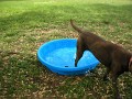 Katie leaving the pool